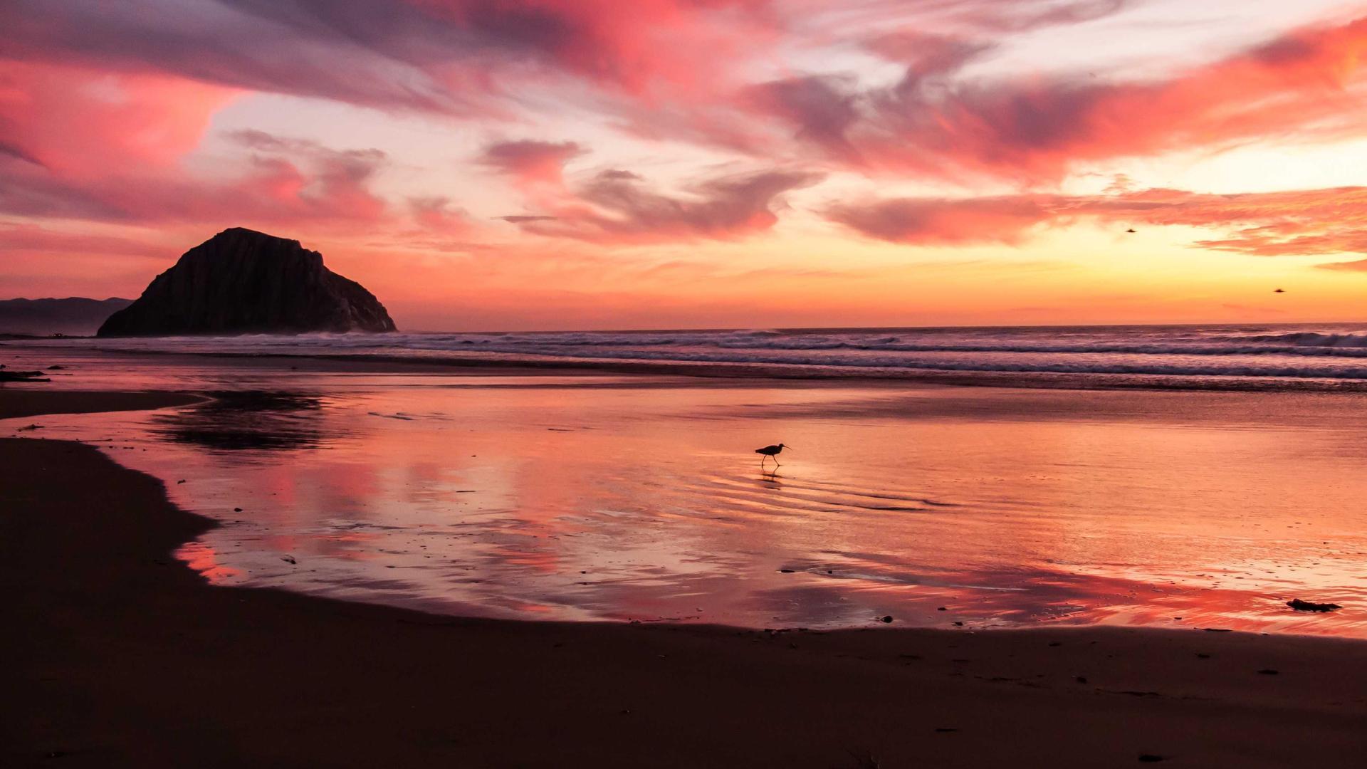 Accounting Background